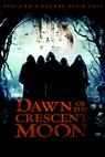 Dawn of the Crescent Moon 