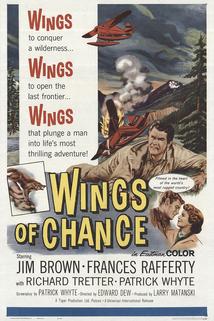 Profilový obrázek - Wings of Chance