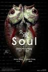Soul (2013)