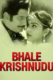 Profilový obrázek - Bhale Krishnudu