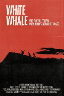 Profilový obrázek - White Whale