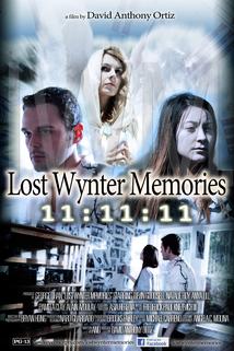 Profilový obrázek - Lost Wynter Memories