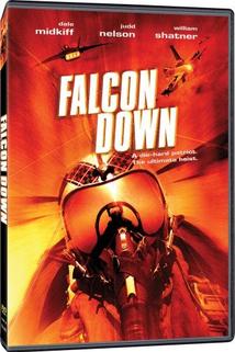 Profilový obrázek - Falcon Down