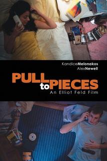 Profilový obrázek - Pull to Pieces