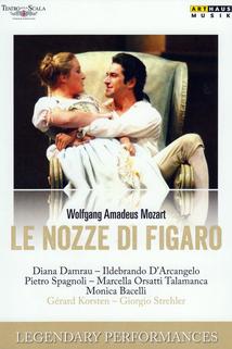 Profilový obrázek - Le nozze di Figaro