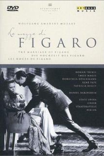 Profilový obrázek - Les noces de Figaro