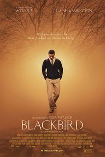 Blackbird  - Blackbird