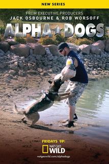 Profilový obrázek - Alpha Dogs