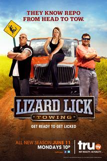 Profilový obrázek - Lizard Lick Towing