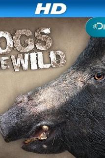 Profilový obrázek - Hogs Gone Wild