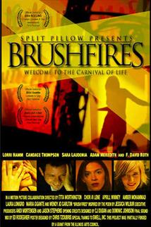 Profilový obrázek - Brushfires