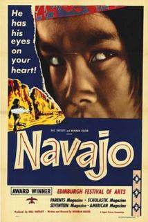Profilový obrázek - Navajo