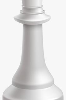 Profilový obrázek - The Chess Game