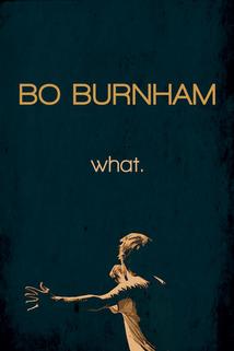 Profilový obrázek - Bo Burnham: What