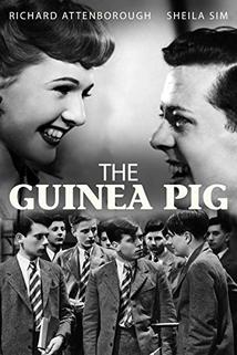 Profilový obrázek - The Guinea Pig
