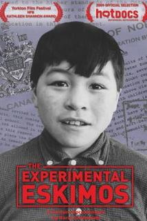 Profilový obrázek - The Experimental Eskimos