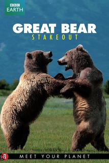 Profilový obrázek - Medvědi grizzly na Aljašce