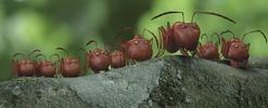 Mrňouskové - Údolí ztracených mravenců