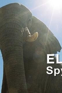Profilový obrázek - Elephants: Spy in the Herd