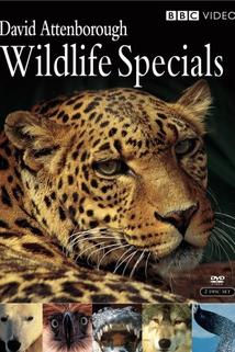 Profilový obrázek - Wildlife Specials
