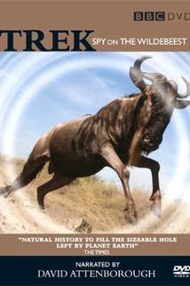 Profilový obrázek - Trek: Spy on the Wildebeest