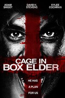 Cage in Box Elder  - Cage in Box Elder