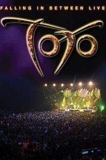 Profilový obrázek - Toto: Falling in Between - Live in Paris
