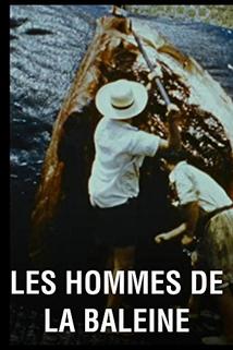 Profilový obrázek - Les hommes de la baleine