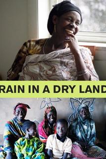 Profilový obrázek - Rain in a Dry Land