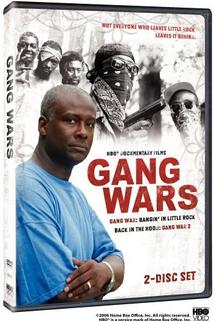 Profilový obrázek - Back in the Hood: Gang War 2
