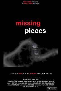 Profilový obrázek - Missing Pieces