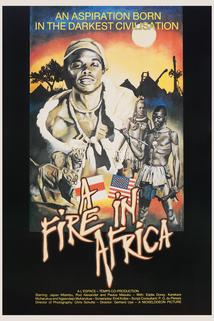 Profilový obrázek - A Fire in Africa