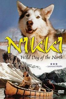 Profilový obrázek - Nikki, Wild Dog of the North