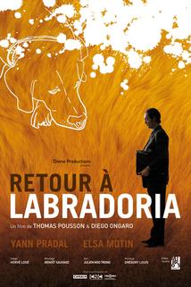 Profilový obrázek - Retour à Labradoria