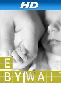 Profilový obrázek - The Baby Wait