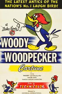 Profilový obrázek - Calling Dr. Woodpecker