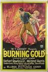 Burning Gold (1927)