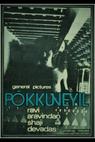 Pokkuveyil (1981)