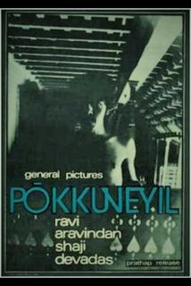Profilový obrázek - Pokkuveyil