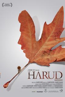 Profilový obrázek - Harud