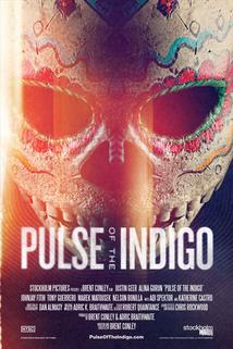 Profilový obrázek - Pulse of the Indigo