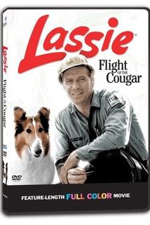 Profilový obrázek - Lassie a puma na útěku