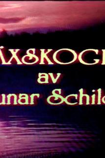 Profilový obrázek - Häxskogen