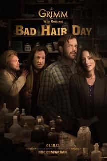 Profilový obrázek - Grimm: Bad Hair Day