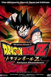Profilový obrázek - Goku vs. Vegeta: Conversations on a Phenomenon