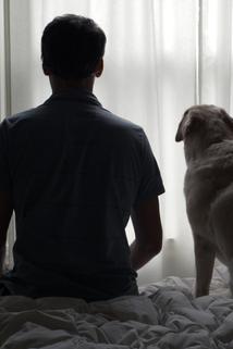 Profilový obrázek - Man's Best Friend