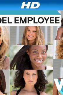 Profilový obrázek - Model Employee