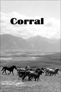 Profilový obrázek - Corral