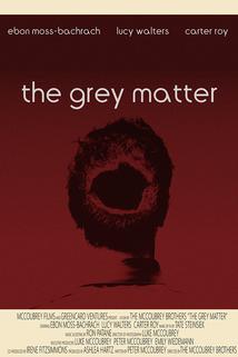Profilový obrázek - The Grey Matter
