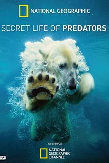 Profilový obrázek - Secret Life of Predators